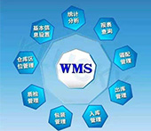 WMS实施和使用过程中产生的费用